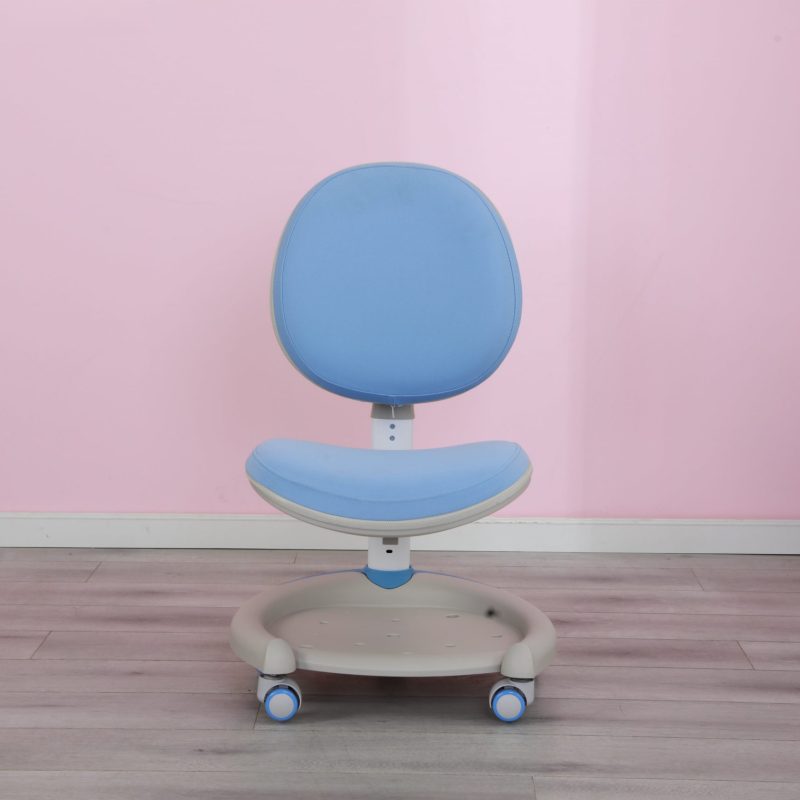 Ghế Chống Gù Raymond C61