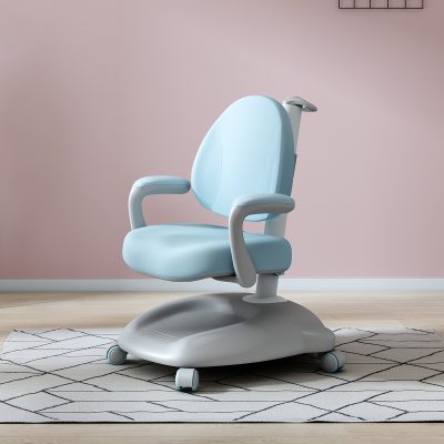 Ghế Chống Gù LEX 816